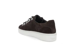 STOCKHOLM DESIGN GROUP Sneakers ><noscript><img data-lazyloaded=