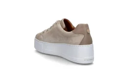 STOCKHOLM DESIGN GROUP Sneakers > Platåsneakers Beige