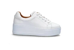 STOCKHOLM DESIGN GROUP Sneakers ><noscript><img data-lazyloaded=