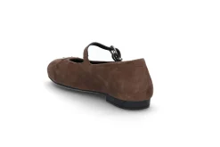 STOCKHOLM DESIGN GROUP Pumps & Finskor|Ballerina > Trendig ballerina Brun